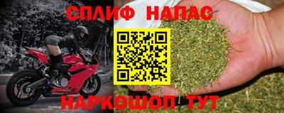 гашик Кунгур