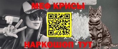 гашик Кунгур