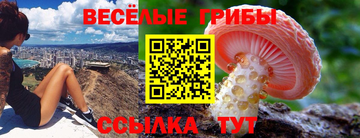 Галлюциногенные грибы Cubensis Грязи